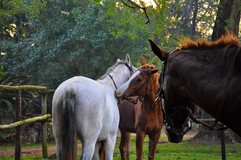 Есть такая страна — Свазиленд