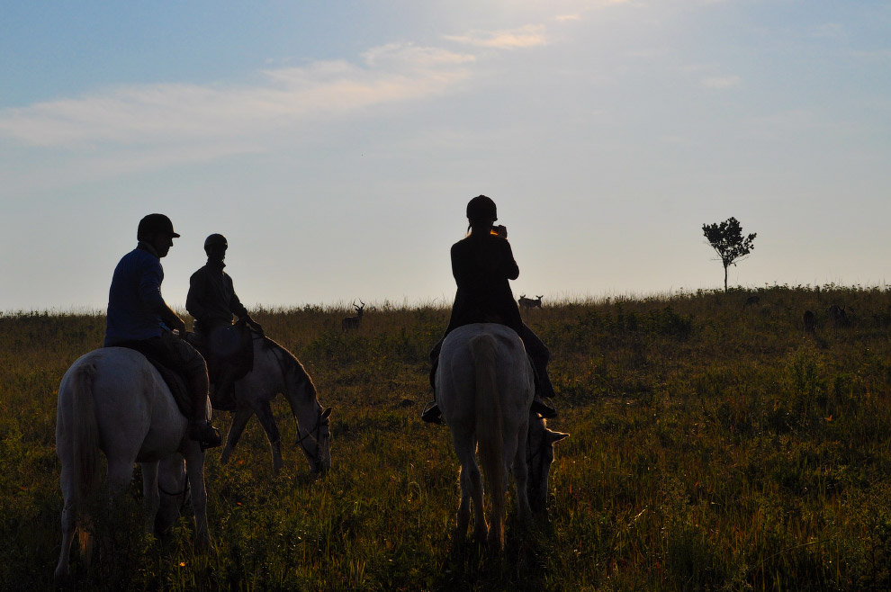 Есть такая страна — Свазиленд
