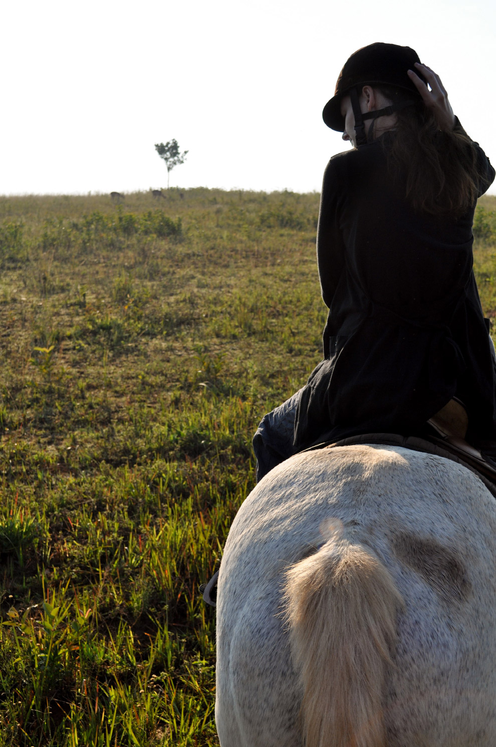 Есть такая страна — Свазиленд