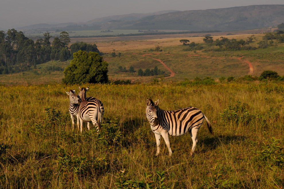 Есть такая страна — Свазиленд