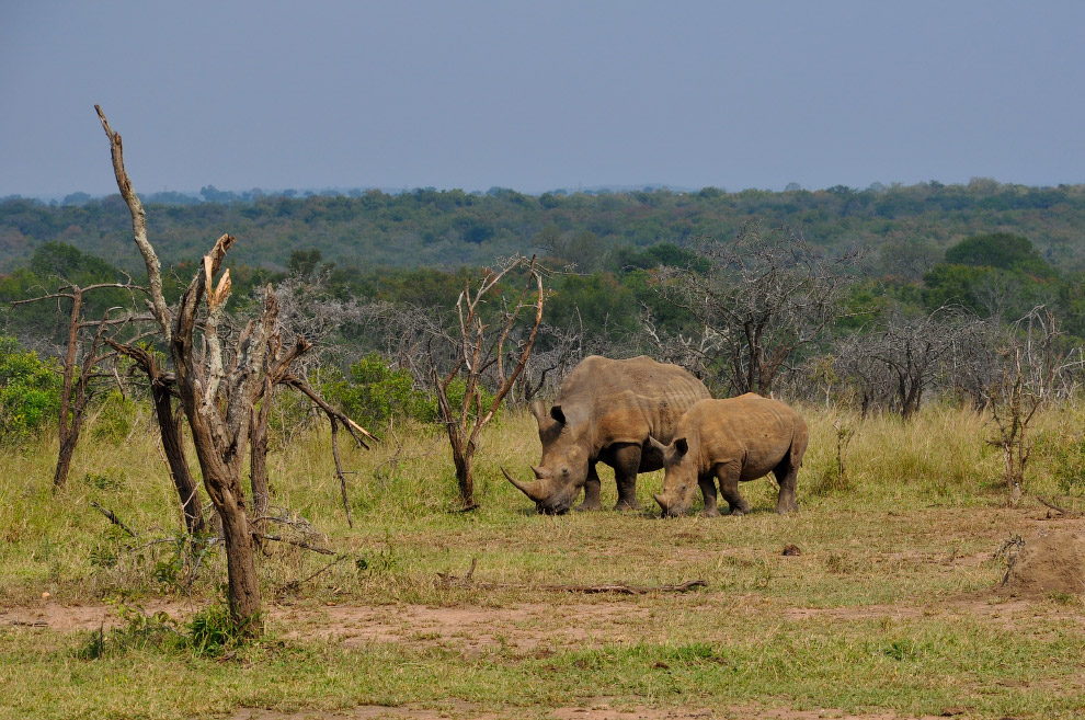 Есть такая страна — Свазиленд