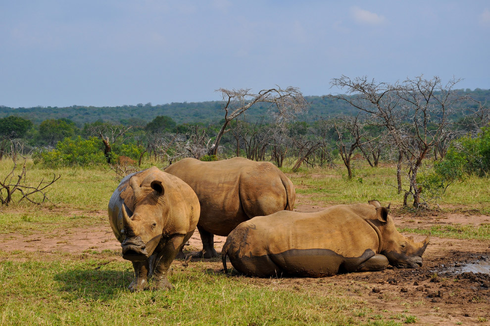 Есть такая страна — Свазиленд