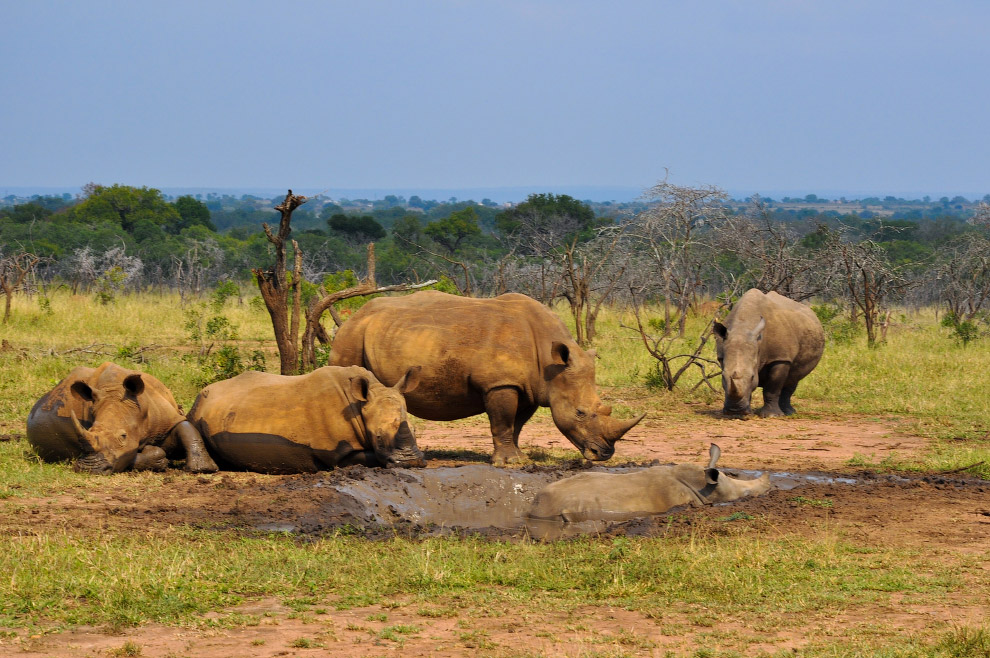 Есть такая страна — Свазиленд
