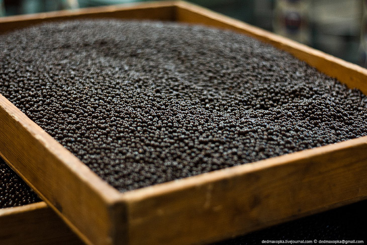 Как делают шоколад Как делают шоколад