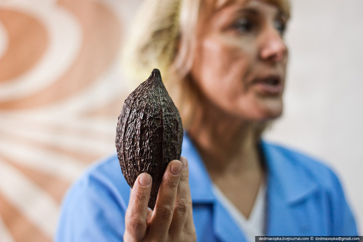 Как делают шоколад Как делают шоколад