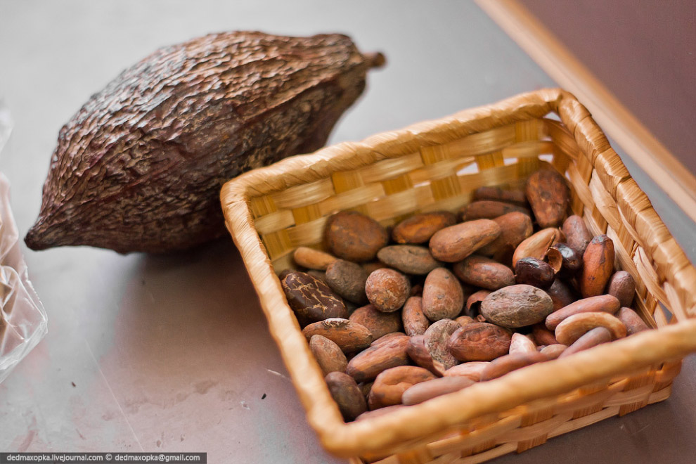 Как делают шоколад Как делают шоколад