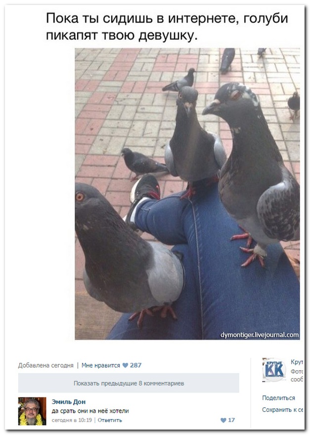 Смешные комментарии из социальных сетей