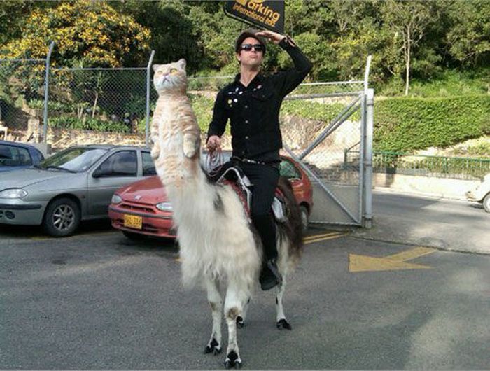 Смешной фотошоп