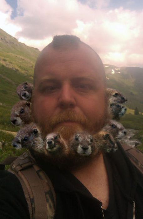 Смешной фотошоп