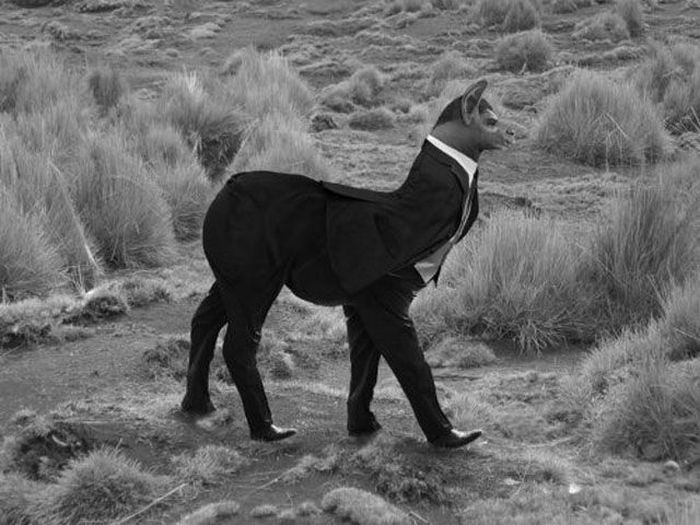 Смешной фотошоп