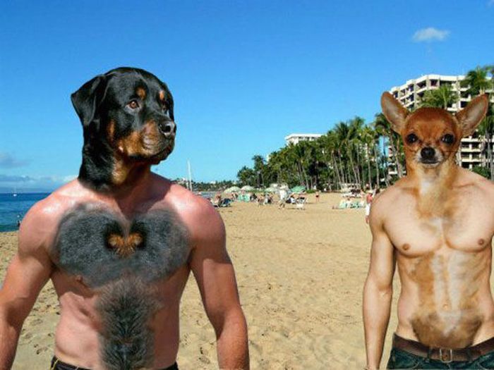 Смешной фотошоп