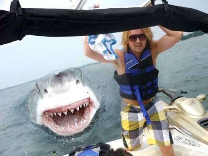 Смешной фотошоп