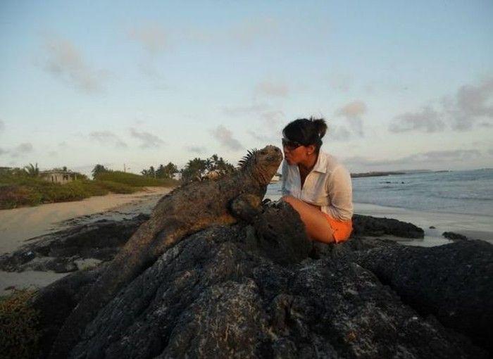 Прикольные картинки