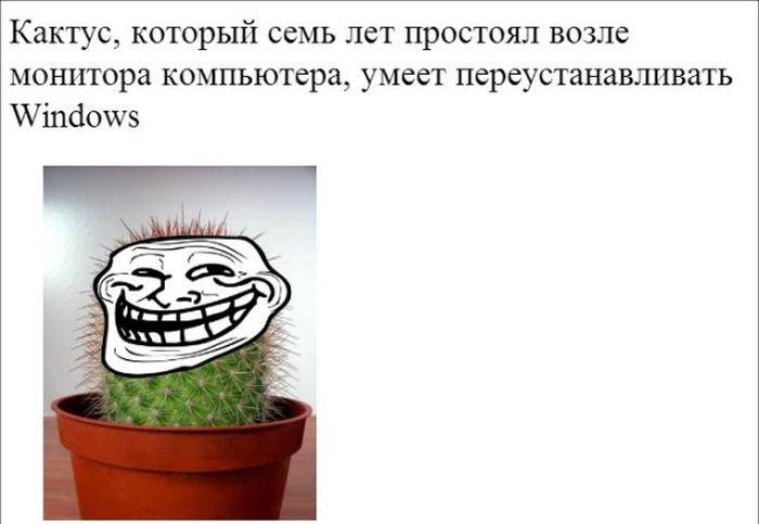 Прикольные картинки