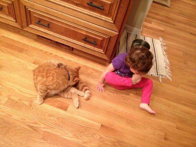 Прикольные картинки