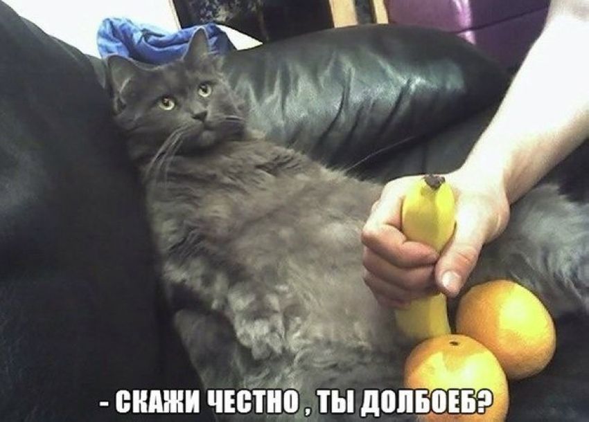 Веселые комиксы и картинки (50 фото)