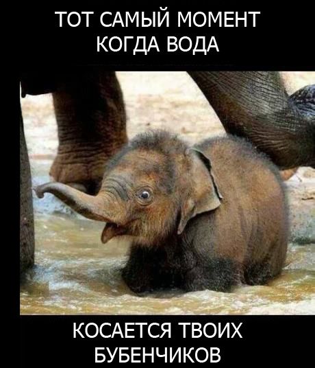 Веселые комиксы и картинки (50 фото)