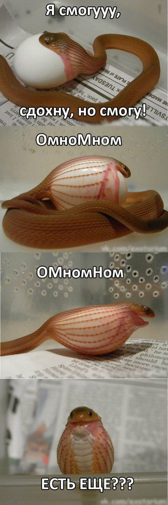 Веселые комиксы и картинки (50 фото)