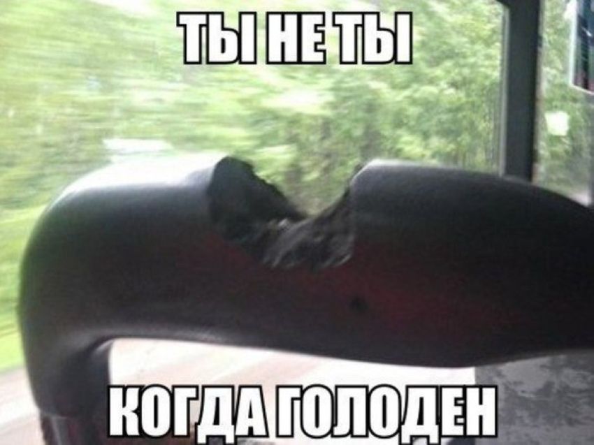 Веселые комиксы и картинки (50 фото)