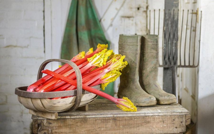 Главные блюда разных стран (20 фото)