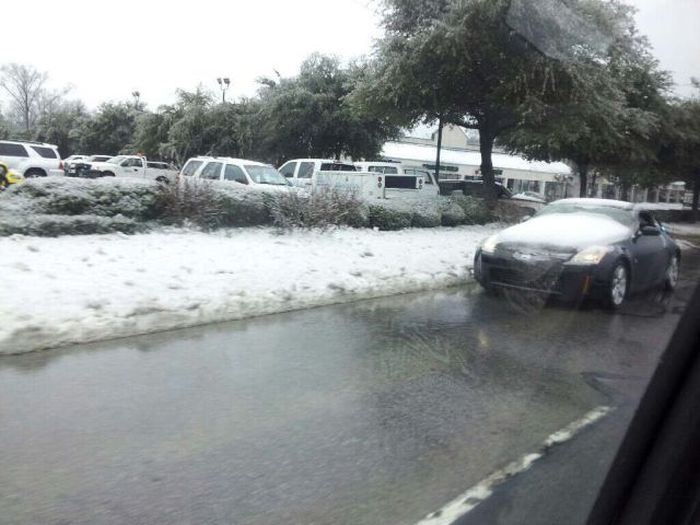 Прикольные картинки (57 фото)