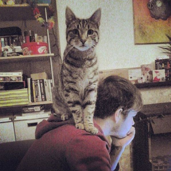 Прикольные картинки (57 фото)