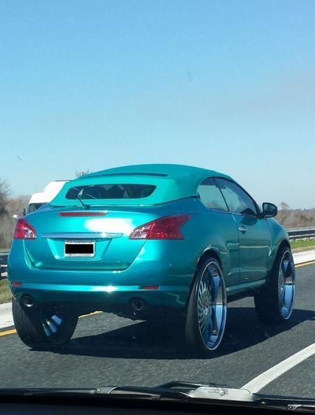 Прикольные картинки (57 фото)