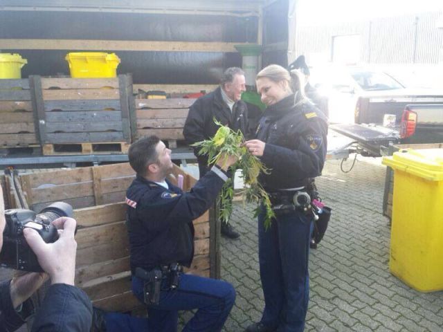 Прикольные картинки (57 фото)