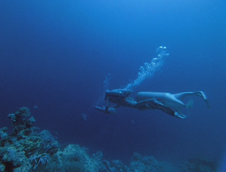 Как Жак-Ив Кусто с командой три месяца жил и работал на дне океана Как Жак-Ив Кусто с командой три месяца жил и работал на дне океана