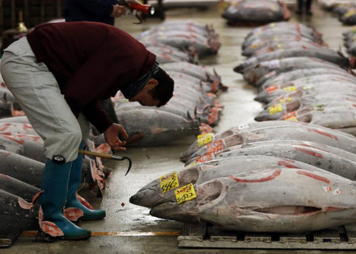 13 вкусных фактов о суши, которые удивят не только их поклонников