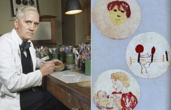 Александр Флеминг и его рисунки из микроорганизмов Александр Флеминг и его рисунки из микроорганизмов