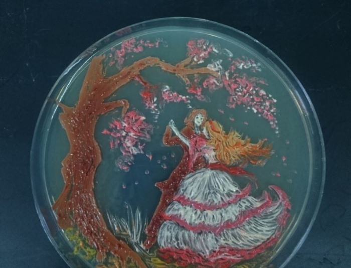 Александр Флеминг и его рисунки из микроорганизмов Александр Флеминг и его рисунки из микроорганизмов