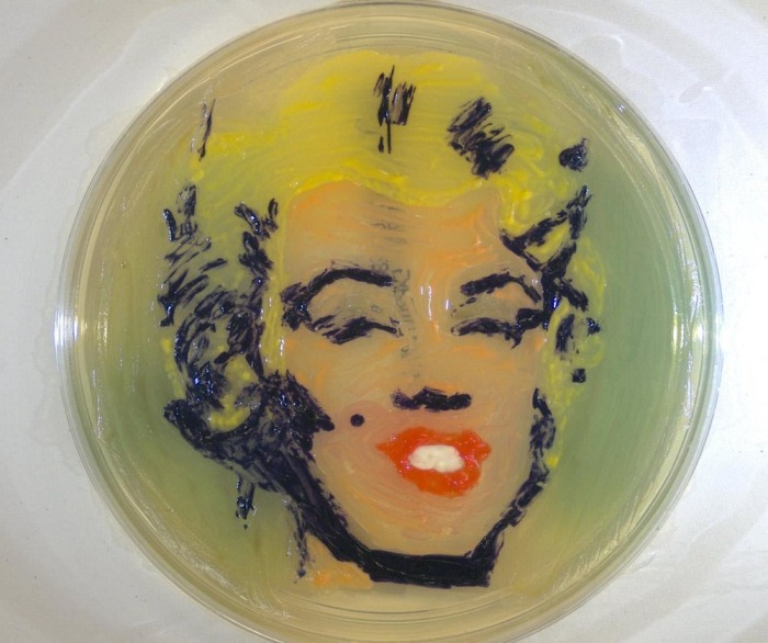 Александр Флеминг и его рисунки из микроорганизмов Александр Флеминг и его рисунки из микроорганизмов