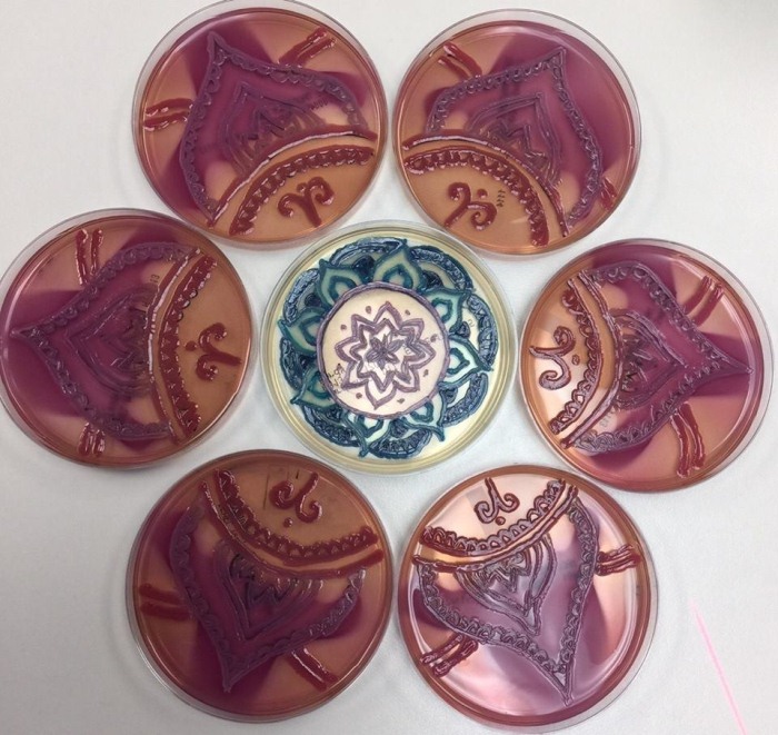 Александр Флеминг и его рисунки из микроорганизмов Александр Флеминг и его рисунки из микроорганизмов