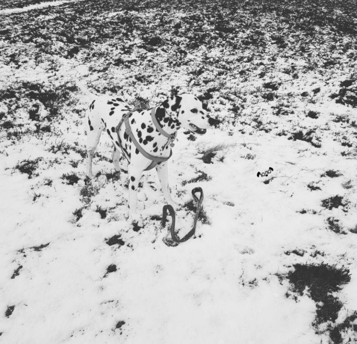 17 фотографий, которые заставят усомниться в увиденном и посмотреть на них дважды