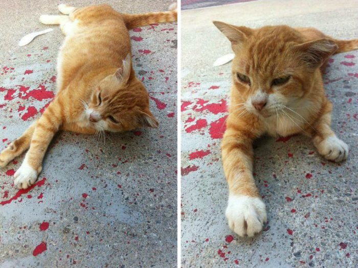 17 фотографий, которые заставят усомниться в увиденном и посмотреть на них дважды