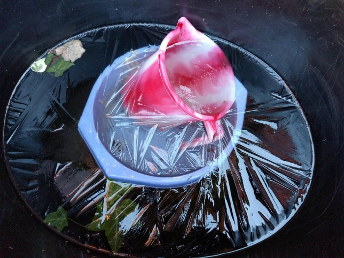 17 фотографий, которые заставят усомниться в увиденном и посмотреть на них дважды