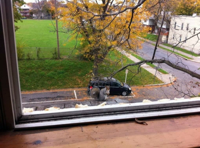 17 фотографий, которые заставят усомниться в увиденном и посмотреть на них дважды