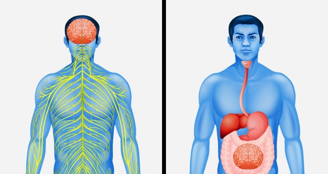 21 факт о нашем мире для тех, кто уже давно ничему не удивляется