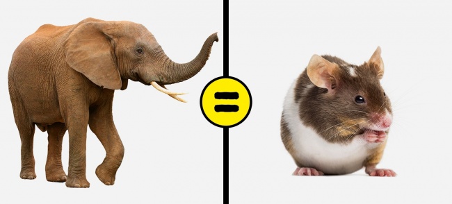 21 факт о нашем мире для тех, кто уже давно ничему не удивляется