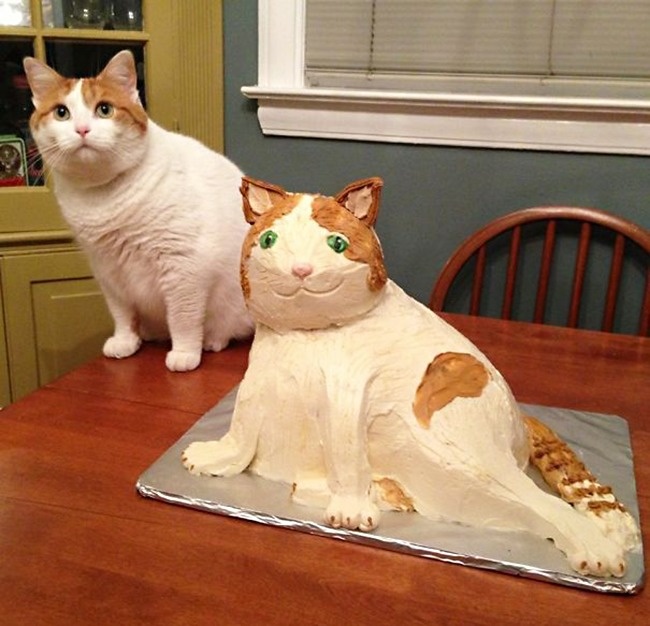 15 забавных тортов, которые могли бы поучаствовать в конкурсе «Самый неудачный десерт этого года»