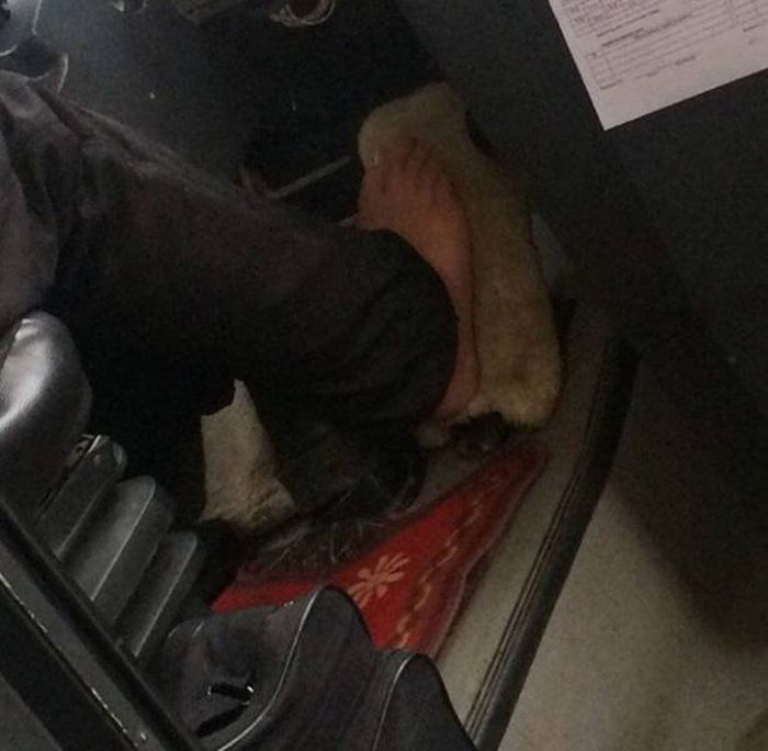 Такое бывает только в России