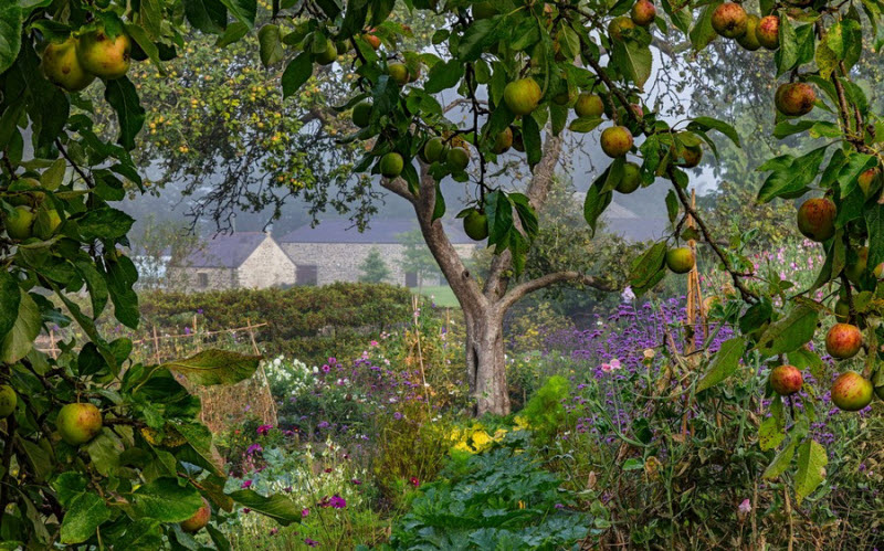 Подборка интересных и веселых картинок
