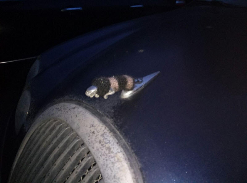 Подборка интересных и веселых картинок