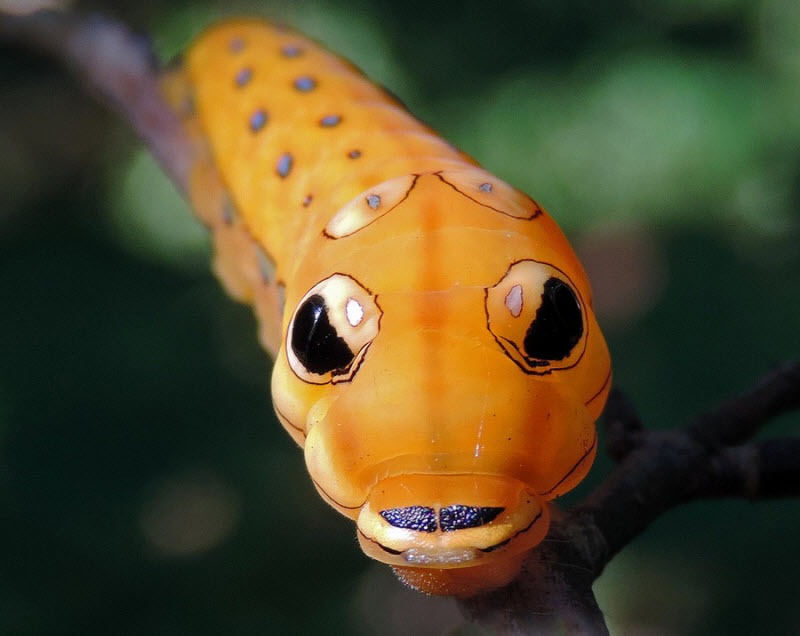 Подборка интересных и веселых картинок