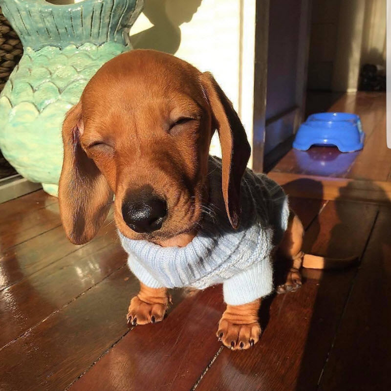 Подборка интересных и веселых картинок