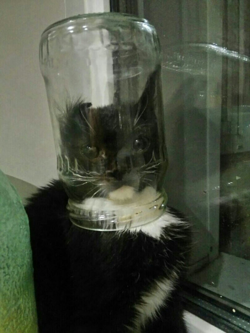 Подборка интересных и веселых картинок