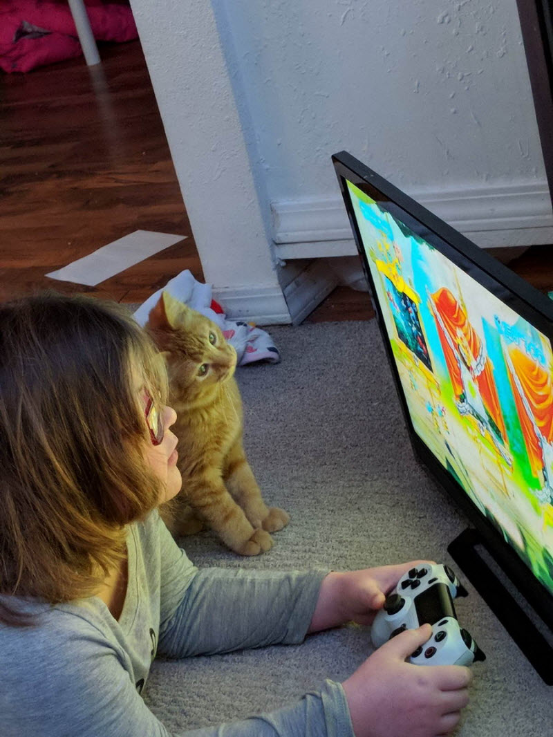 Подборка интересных и веселых картинок