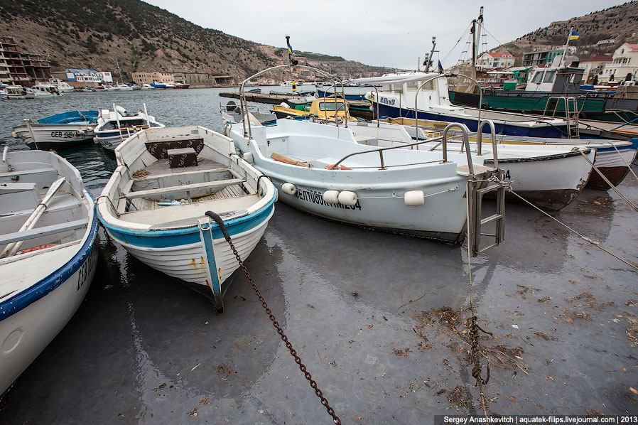 Нашествие медуз в Севастополе