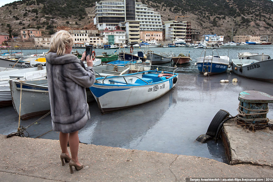 Нашествие медуз в Севастополе